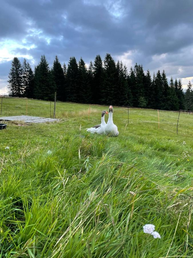 Pension Hones Horska Kvilda Buitenkant foto